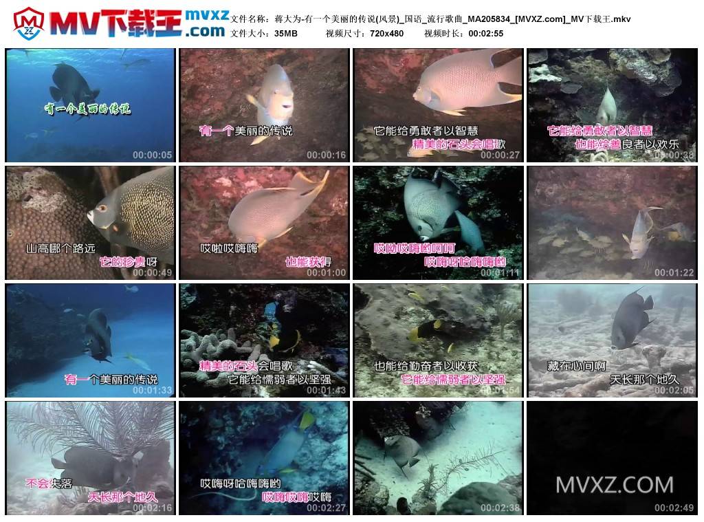 蒋大为-有一个美丽的传说(风景)_国语_流行歌曲_MA205834